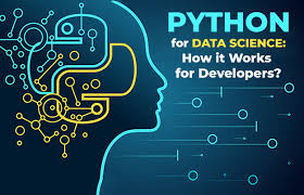 software training institute in Chennai